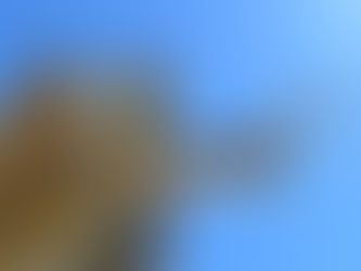 【心の育成・教育】過去を未来へ反映し繁栄へ