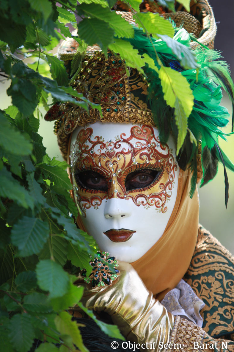 Costumés de Venise - Annevoie