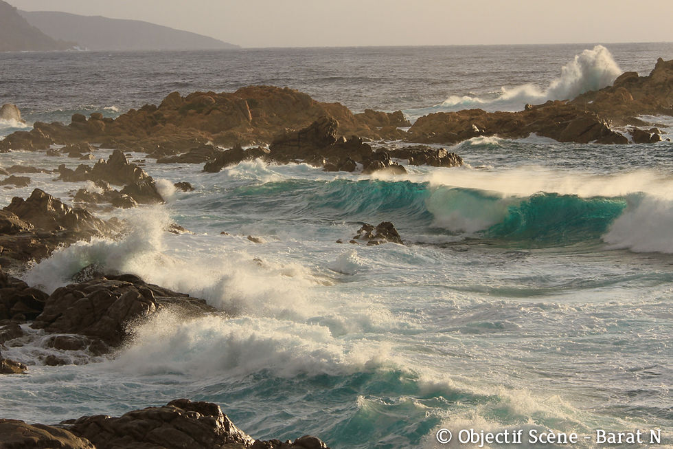 Corsica