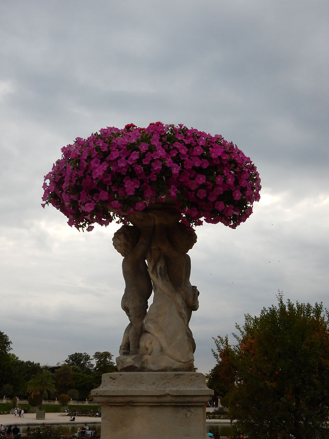 Paris flowers.jpg