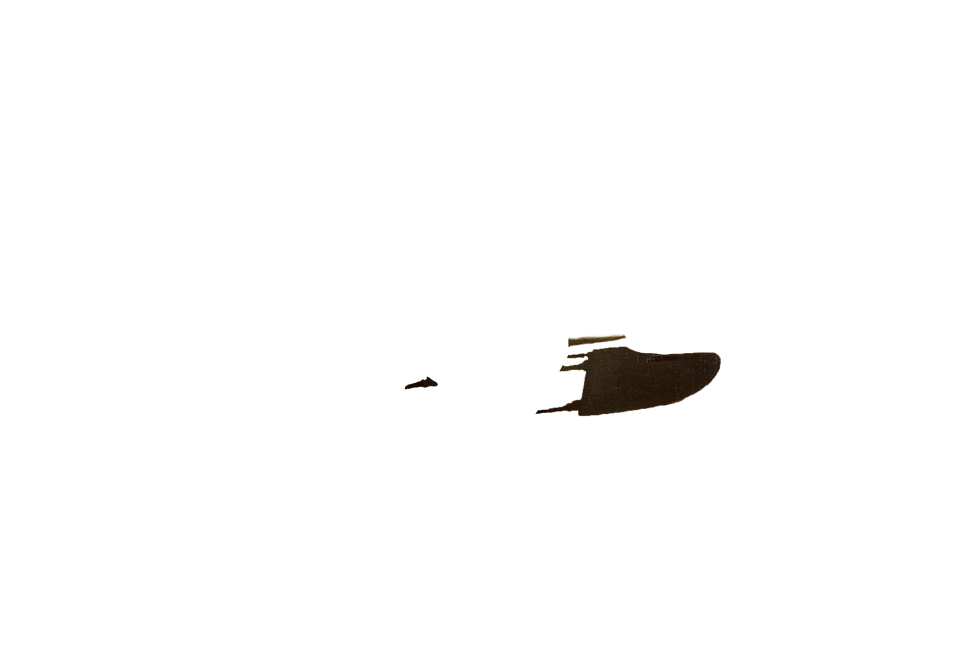 Dali_shadows