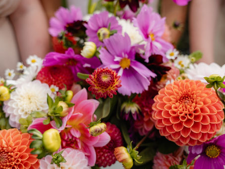 Top Qualities to Look for in a Christchurch Wedding Photographer