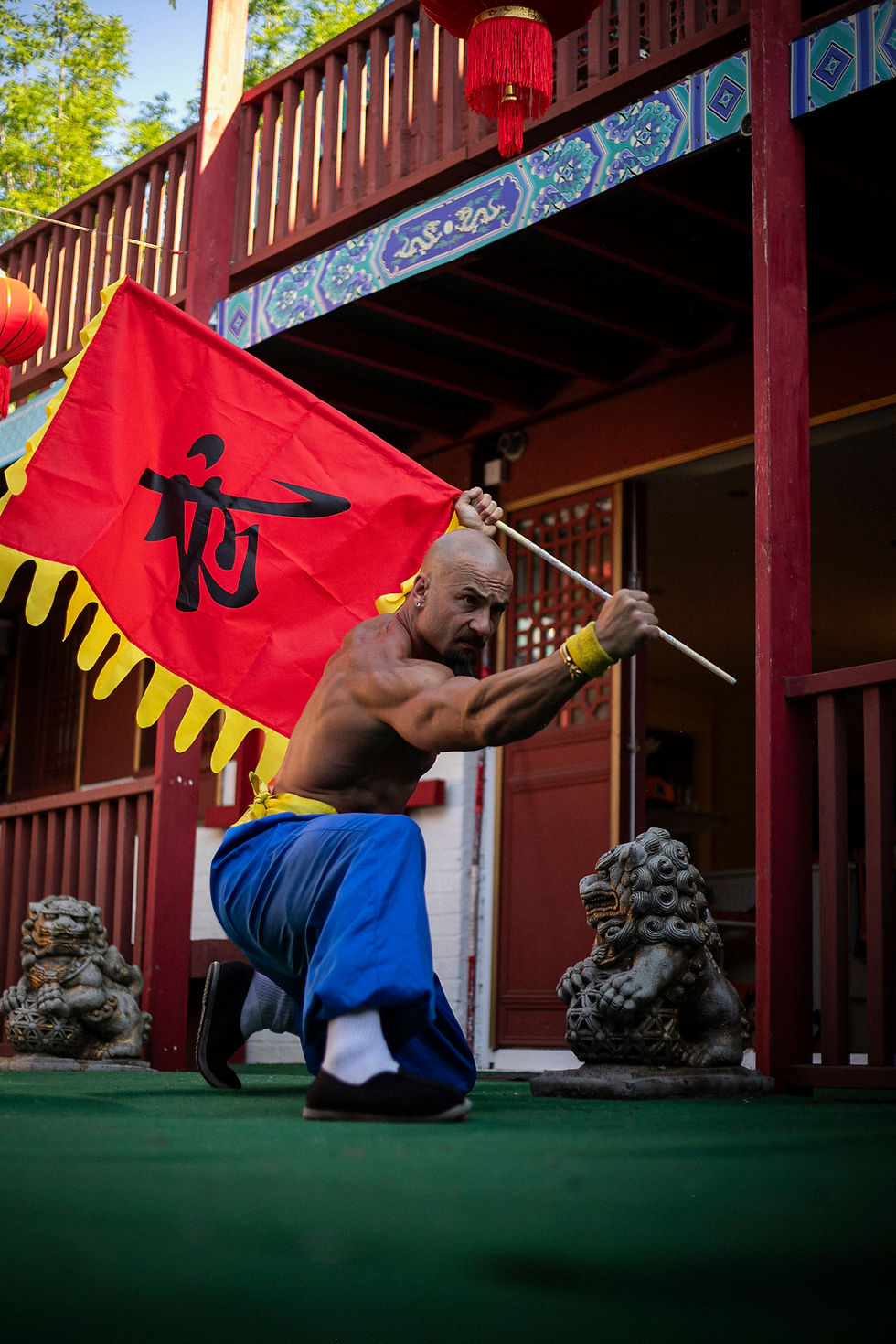 THE IRON FLAG
