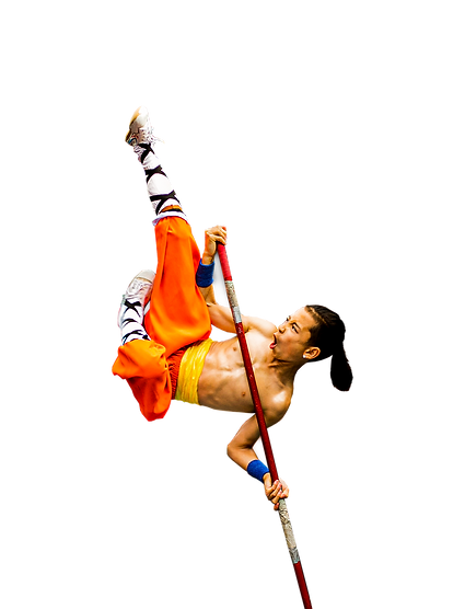 T Monkey Stick .png