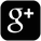 google-plus-square