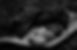 img-en-attempt-2.jpg