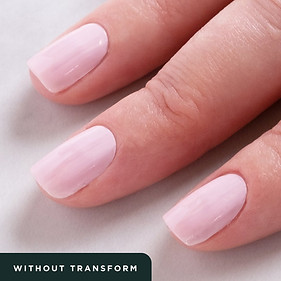 Without Transform