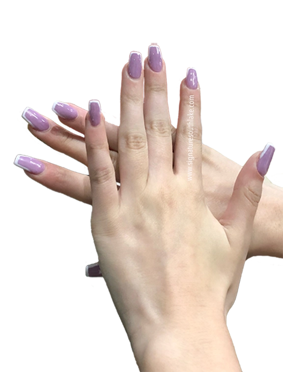 SN40 .webp