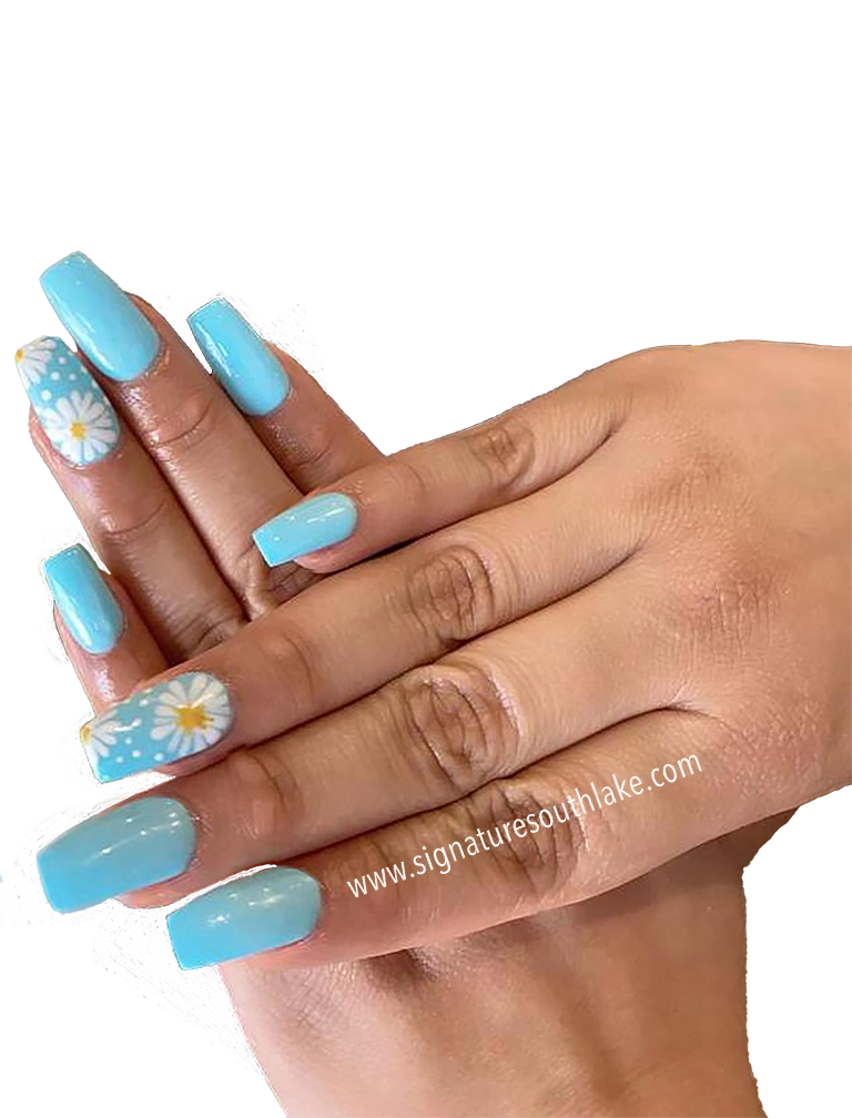 SN11 .webp