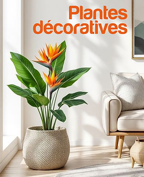 affiches plantes décoratives.jpg