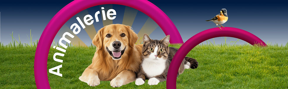 bannière Animalerie 1.jpg