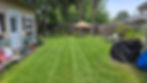 Lawn Stripes