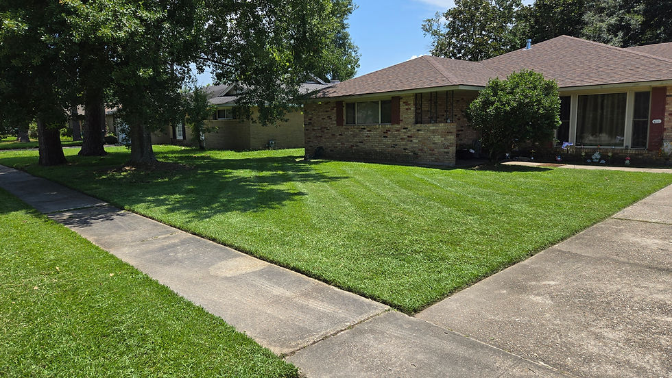 Lawn Care