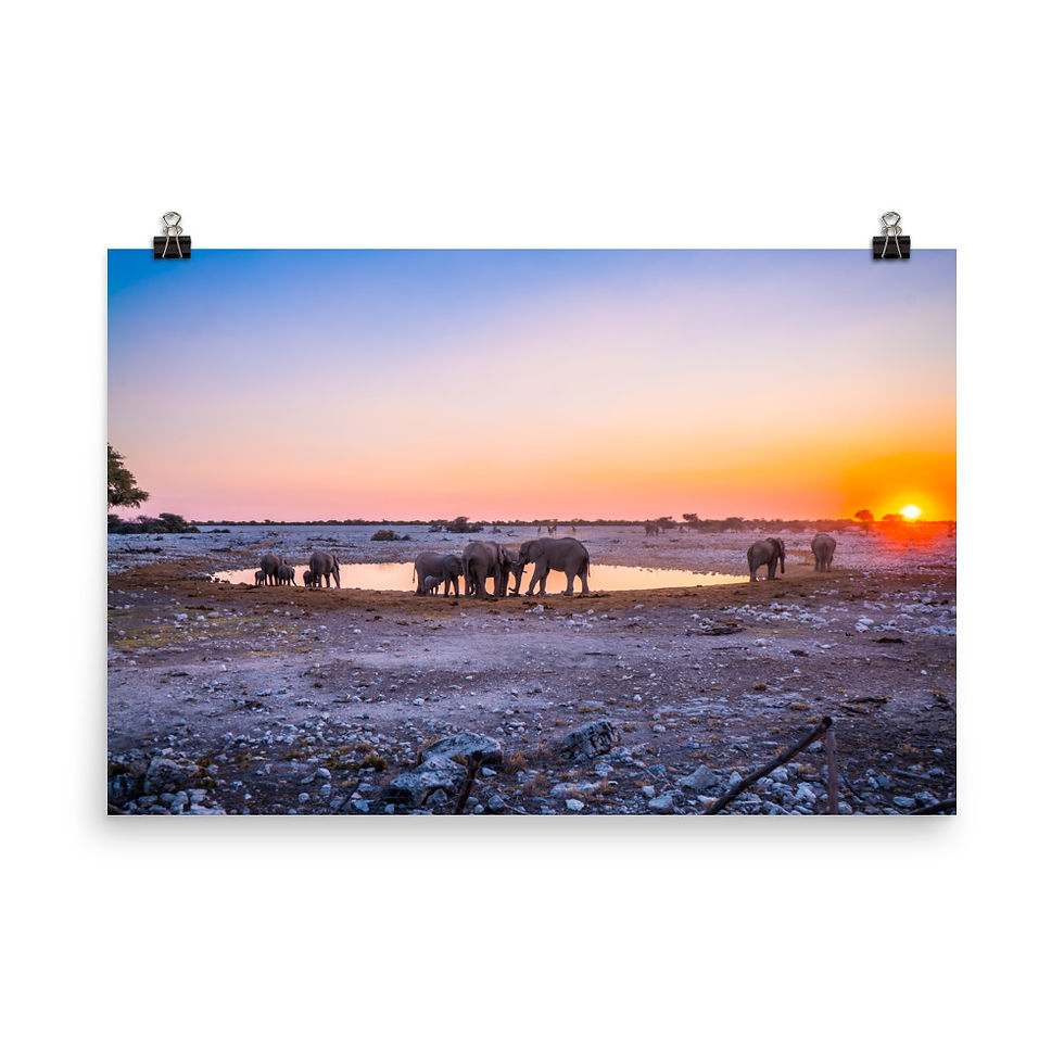 Thumbnail: Etosha Watering Hole [Poster]