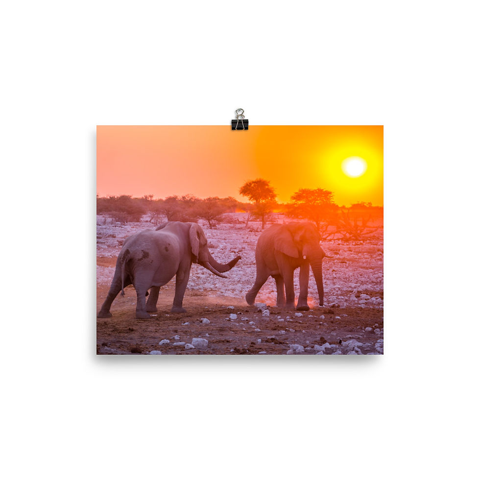 Thumbnail: Elephants At Sunset [Poster]