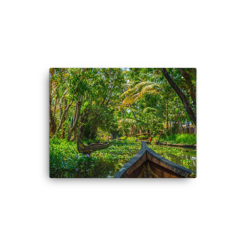Thumbnail: Kerala Backwaters 2 [Canvas Print]
