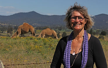 Cathy High - camels in Australia!
