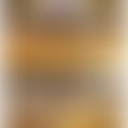 ２０１７年　冬合宿