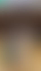 第４回スピードサムライ杯究道空手道選手権大会