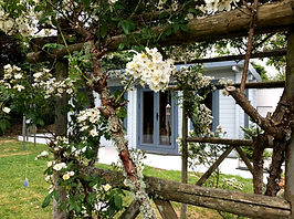 Summer Studio