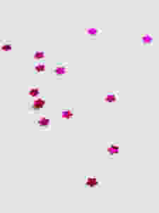 pink stars on white background