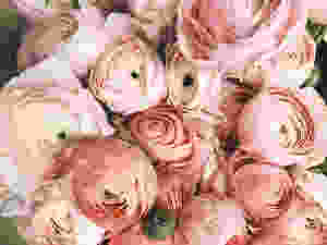 bundle of pink flowers