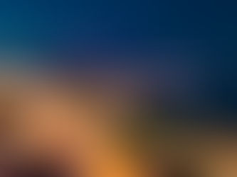 MISE EN VALEUR DES PALMIERS DU BORD DE MER