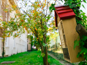 LA COUPE DE FRANCE DES POTAGERS