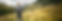 Untitled (30 x 10 cm) copy 3.png