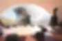 ellie dome.webp