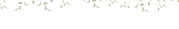 Ativo 1.png