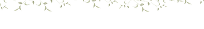 Ativo 1.png