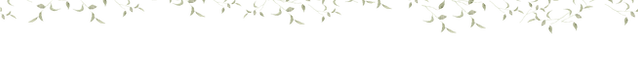 Ativo 1.png
