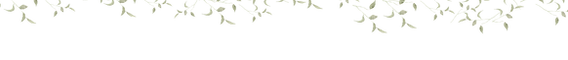 Ativo 1.png
