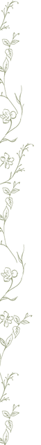 Ativo 15_edited.png