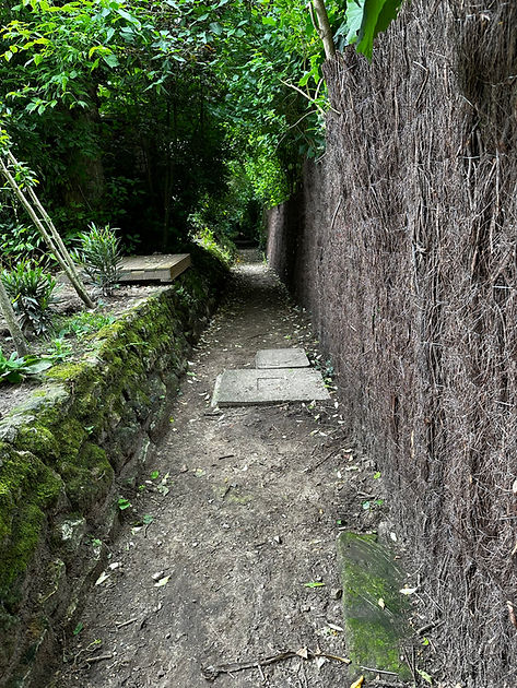 photo du chemin arboré dans le jardin