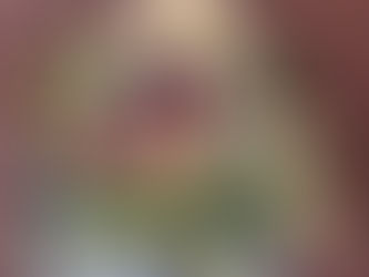 あけまして おめでとうございます!!
もう七草ですね・・・
すっかり遅くなりましたが
手作りの じゃ~~~~ん