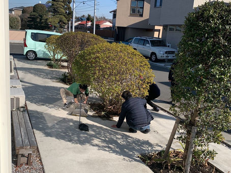 コロナ か でも在宅者は
植物の手入れもしてくれています!
良い天気に 気持ちいいよね~