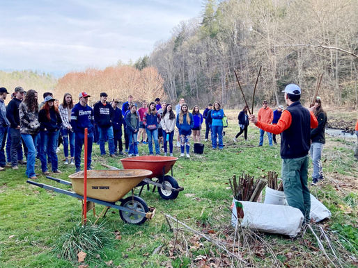 MHS Students Help Bring the Beech Back to Beech Glen