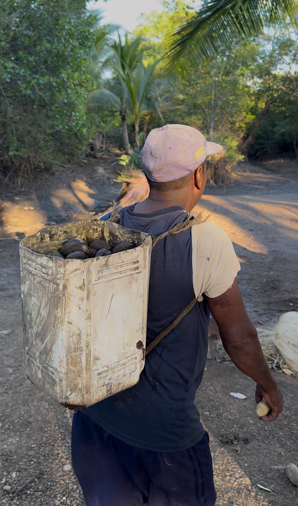 Reynaldo the Concha Hunter in the mangroves of Veraguas