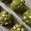 Thumbnail: White Chocolate Macadamia Matcha