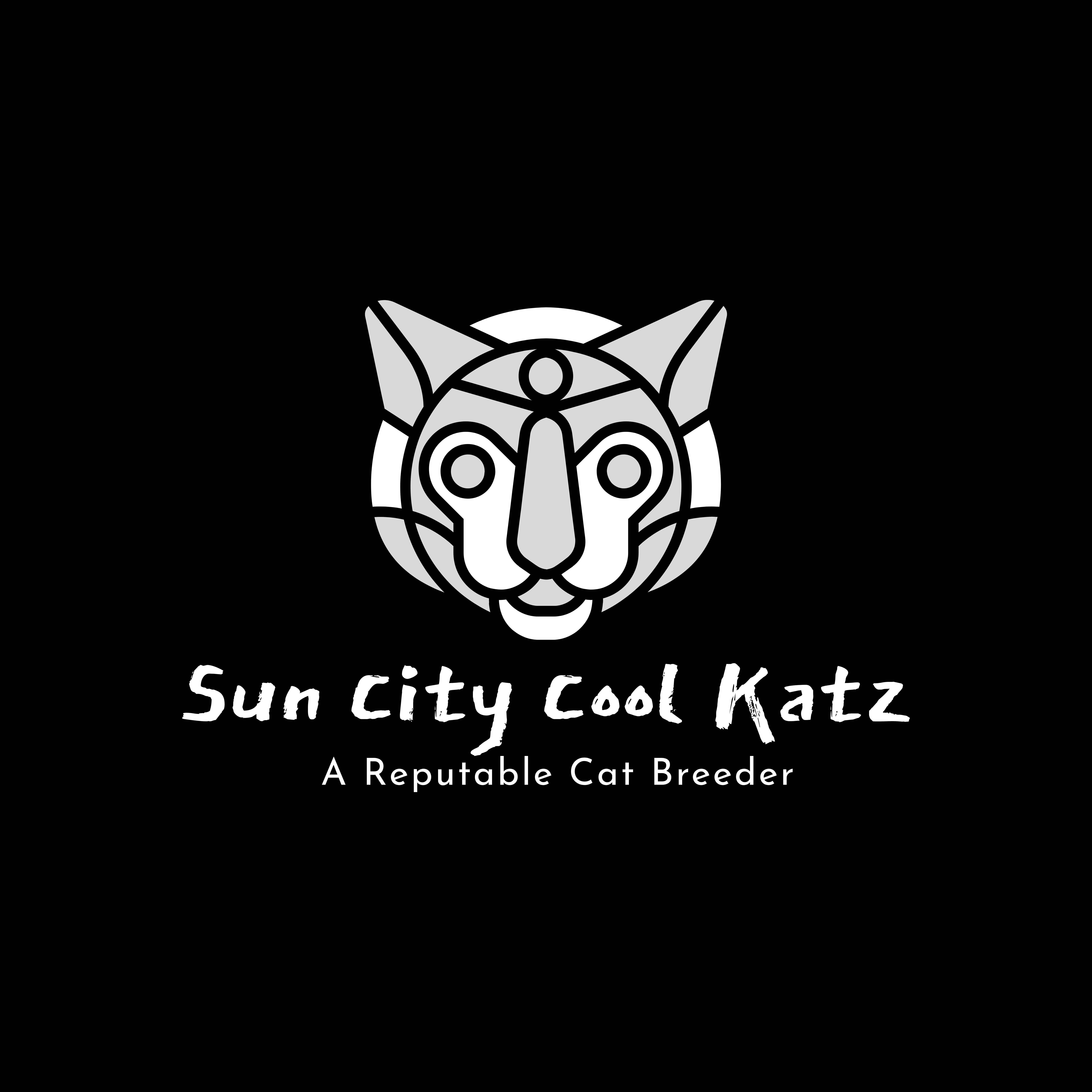 sun city cats