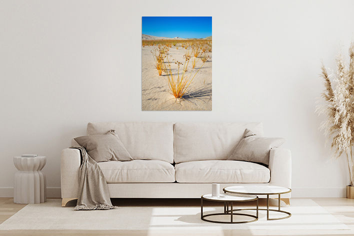 Sand Dunes, Dampier Peninsula, WA