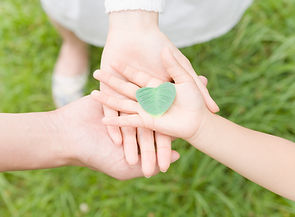pixta_359280_L.jpg