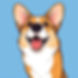 chihuahua with a plain orange background with the dog front and center looking happy .jpg