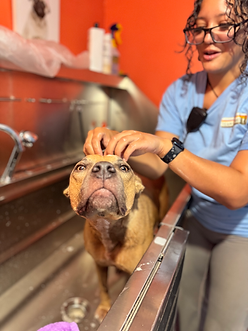 IMG_5612.JPEG
