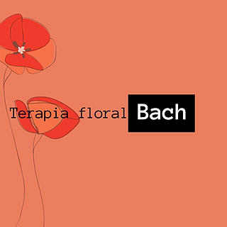 Foto del escritor: Terapia Floral Bach