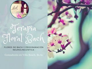 Terapia Floral Bach en Villa Bosch