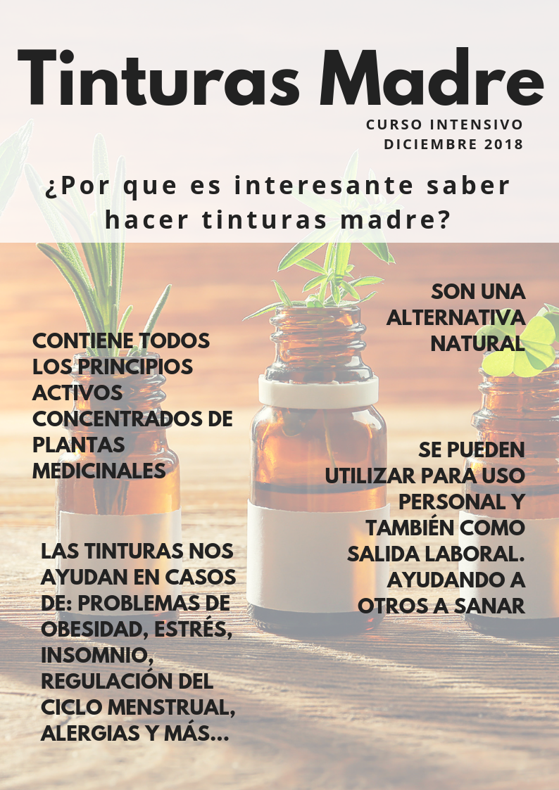 Taller de tinturas madre