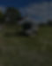242270295_435100308042988_8319484953517314486_n_edited.jpg